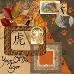 Year Of The Tiger