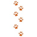 jthompson_tiger_pawprints