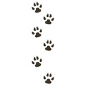 jthompson_tiger_pawprints1