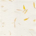 Japanese Paper