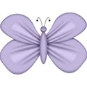 paperfly4
