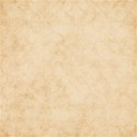 moo_amongmysouvenirs_paper05