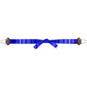 belt1