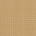 shell paper