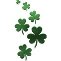 clovers1