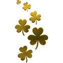 clovers2