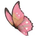 Pretty Butterfly2