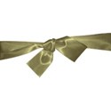ribbonwrappers1a