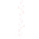 Embellishment