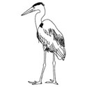 SI_Let sGetBeachy_StickerBird01