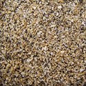 SI_Let sGetBeachy_Paper06