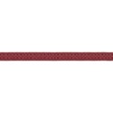 Ribbon02