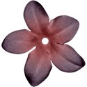 sweetasmel_valentine_flower (1)