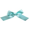scatter sunshine_blue bow copy