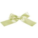 scatter sunshine_green  bow