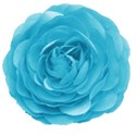 blue flower