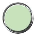 scatter sunshine_green brad