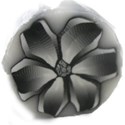 button