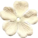 DZ_Baby_flower3