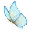 moo_lttlecindrs_butterfly4