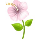 moo_lttlecindrs_gardenflower2