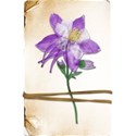 LHank_Passthecards_flowercard2