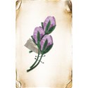 LHank_Passthecards_flowercard7