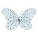 buttefly4