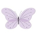 buttefly5