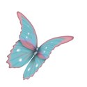 Pretty Butterfly3
