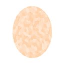 CammoEgg
