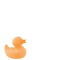 rubber duck 1