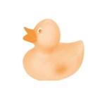 rubber duck 2