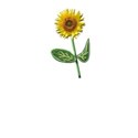 girasol