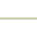 SChua_RDP_border2 copy