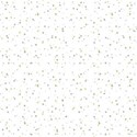 SChua_RDP_paper6
