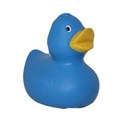 blueduck2