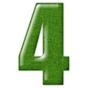 4-goinggreen