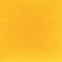 MLIVA_may-solid1