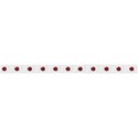 moo_everlastinglaceflowerborder
