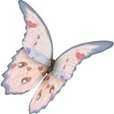 moo_summersend_butterfly1