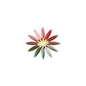 flor
