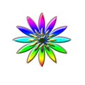 flor3