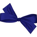 BOS Star Spangled bow01