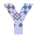 Y1