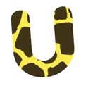 U