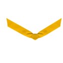 ribbon1