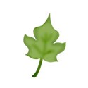 leaf1
