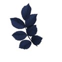 MTS-leafsblue