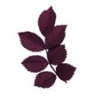 MTS-leafspurple